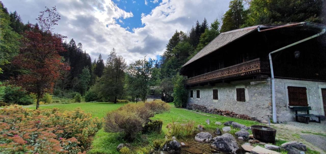 Appartement-3-Chambres-8-Couchages-Wifi-Montriond-Chebourins Eksteriør billede